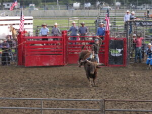 Gatton Rodeo Catt County Fair opens; rodeo provides thrills - Salamanca Free Press