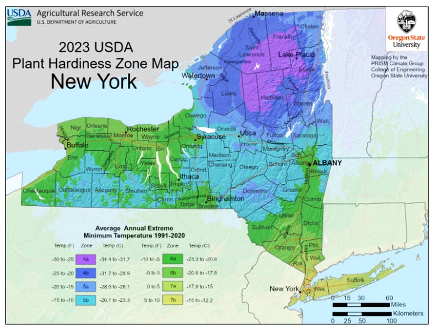 USDA reveals new Plant Hardiness Zone map - Salamanca Free Press USDA reveals new Plant Hardiness Zone map - Salamanca Free Press